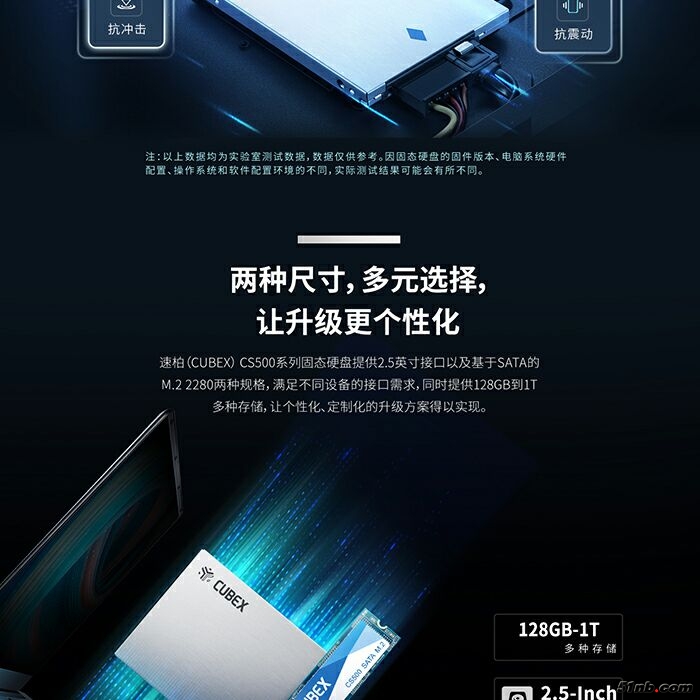 速柏 4.jpg