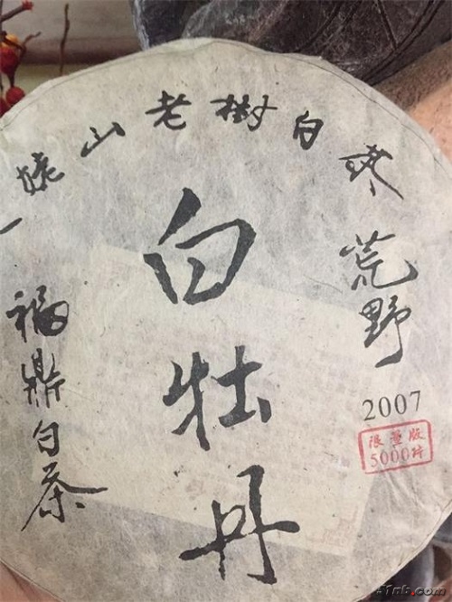 141214mzptgmsgzrofpz9u.jpg
