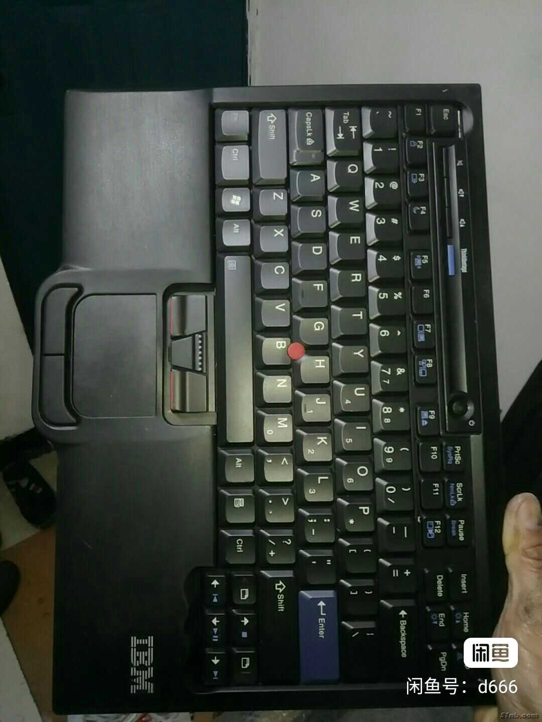 1677816495537.jpg