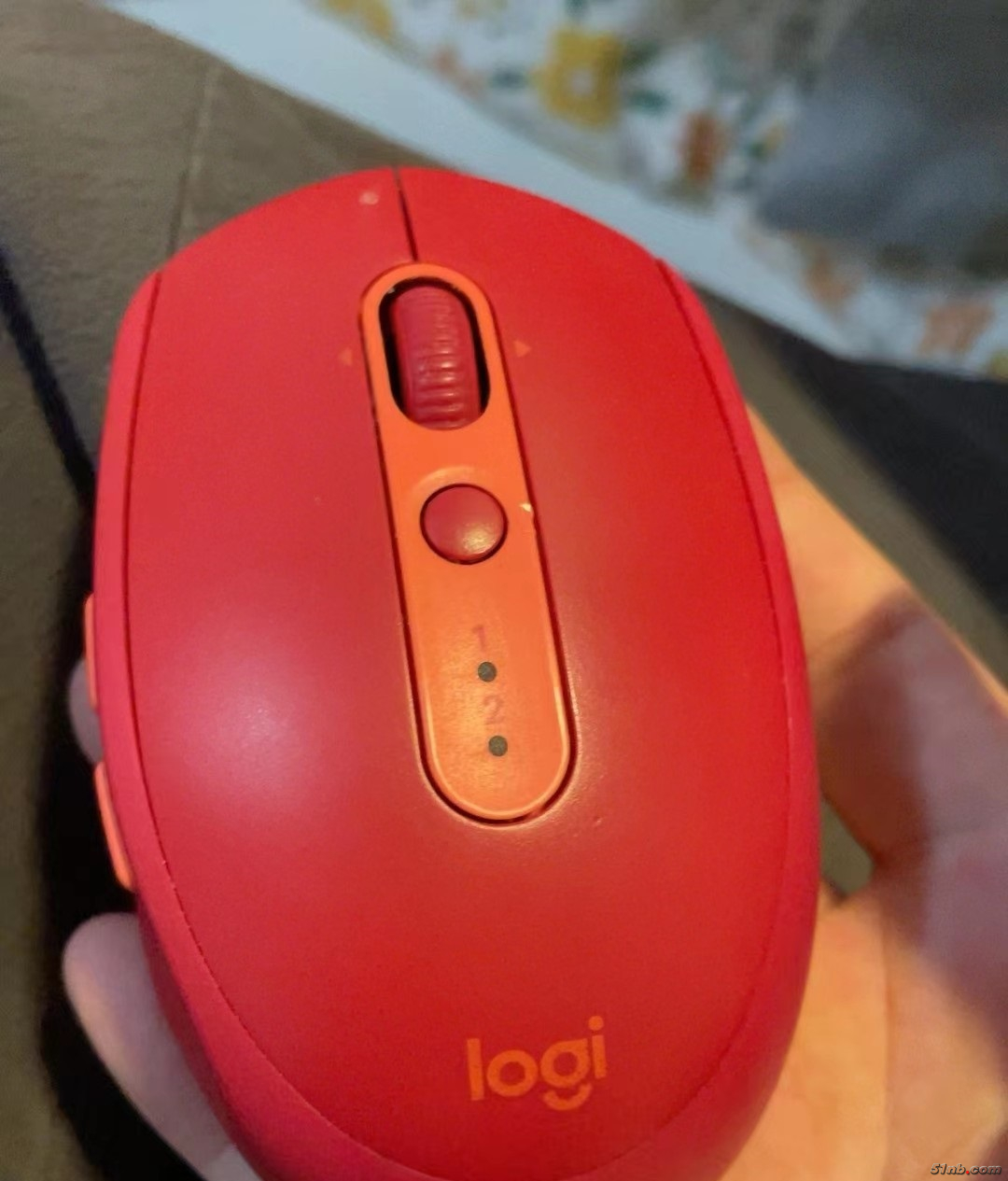 mice1.jpg
