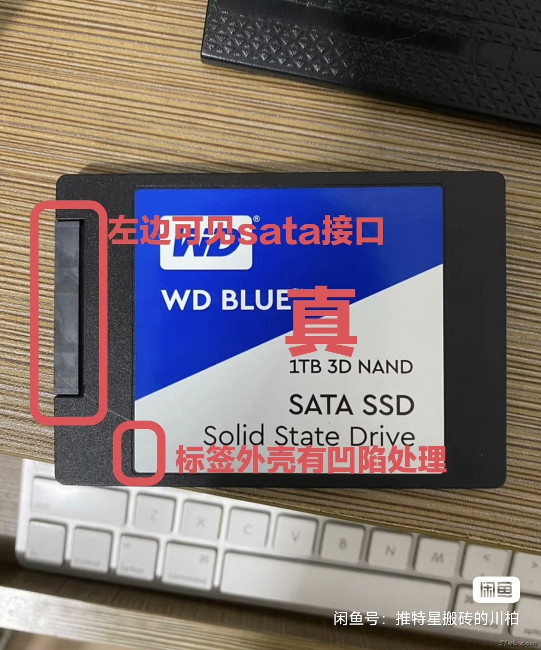 image_editor_1697381336934.jpg