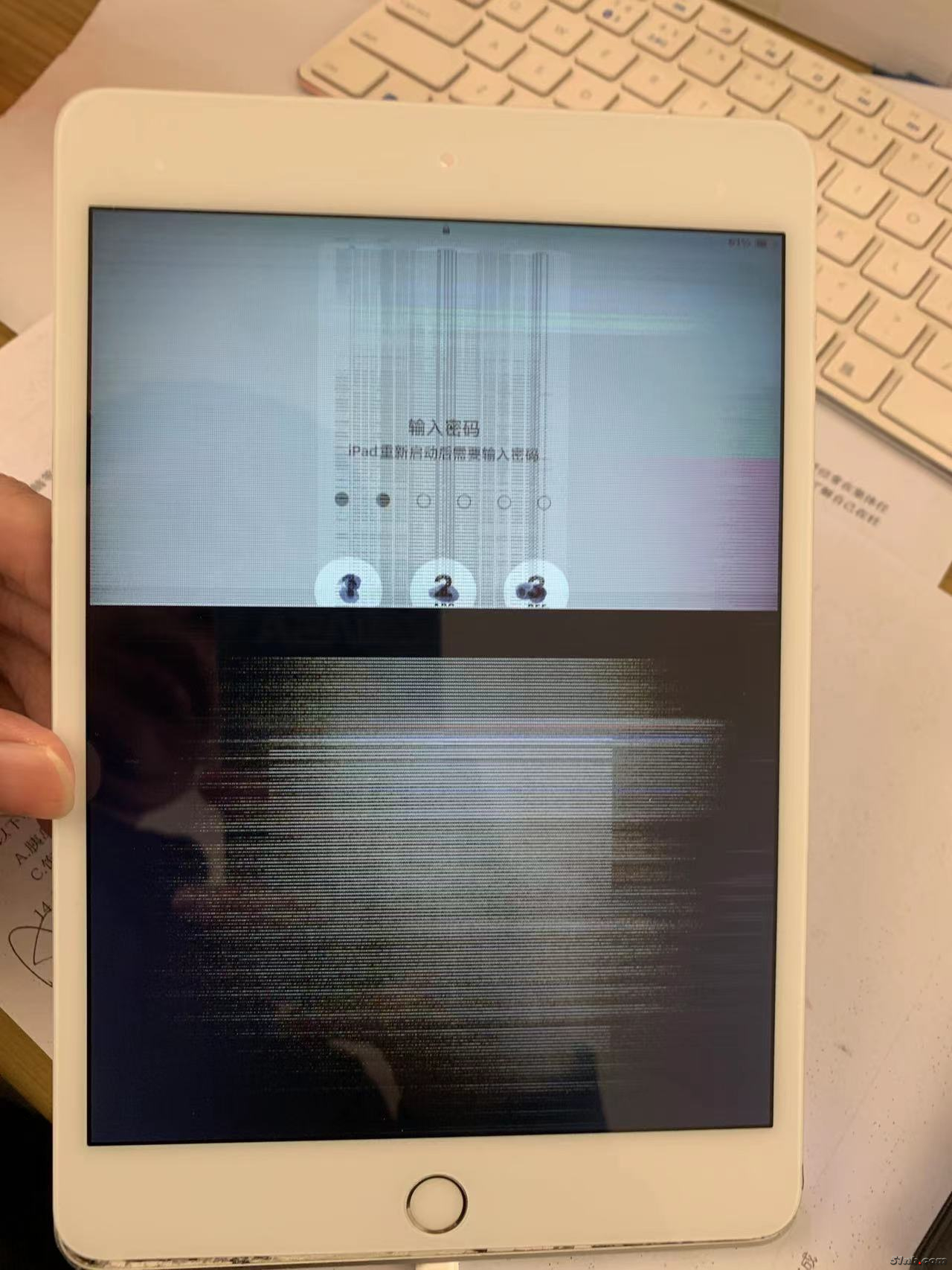 微信图片_20231230190943.jpg