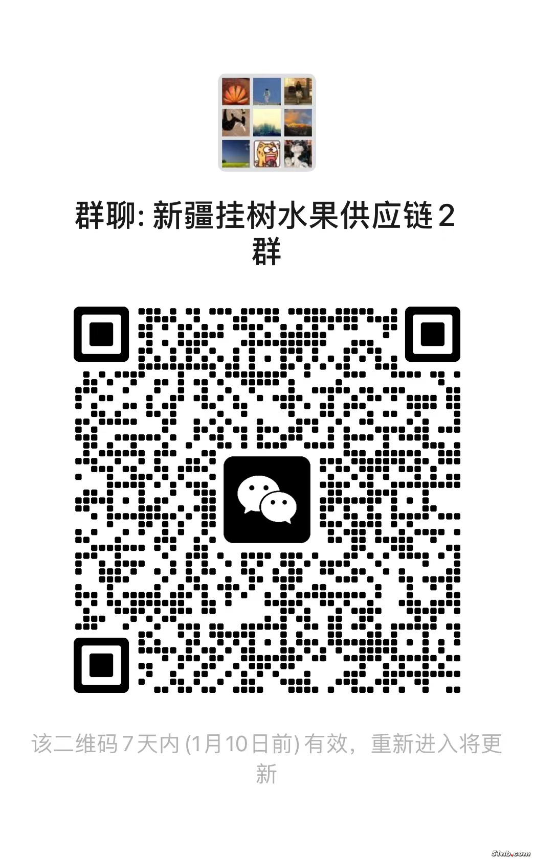 福利群